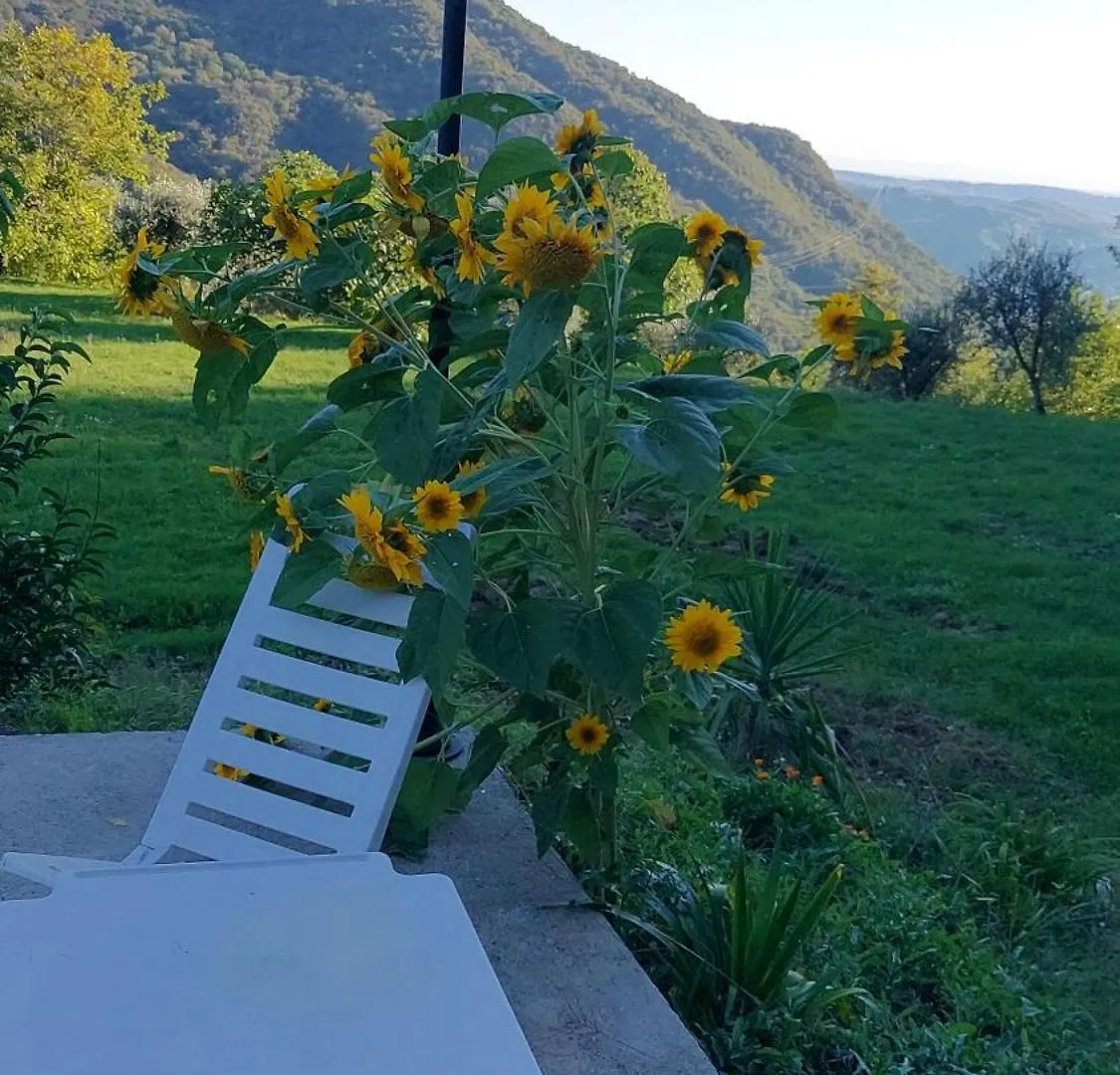 Oasi Di Pace E Natura Gardone Riviera Apartamento