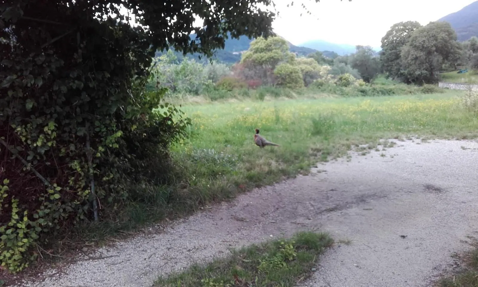 Oasi Di Pace E Natura Gardone Riviera 0*,